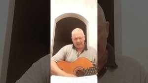 Высоцкий В С. Профессионалы