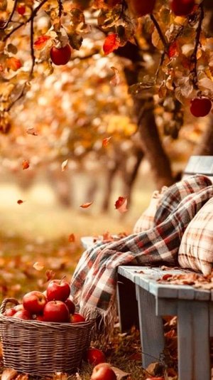 Пожелания доброго вечера и доброй ночи красивые ✨