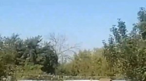 на картошках. жиза?