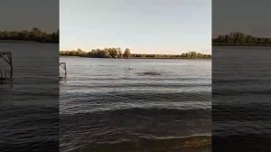 В гостях у брата г.Димитровград.Ульяновская область.Купаюсь и наслаждаюсь жизнью-2.08.2025 год.