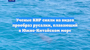 Ученые КНР сняли на видео прообраз русалки, плавающий в Южно-Китайском море