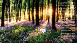 Afanasy Fet "I Have Come to Greet You Gladly"1843