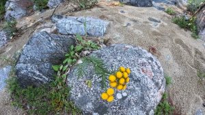 Хорошая стоянка