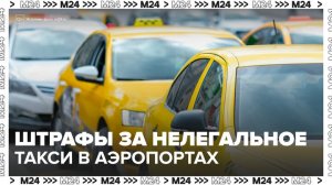 Закон о штрафах за нелегальное такси в аэропортах вступил в силу в Подмосковье - Москва 24