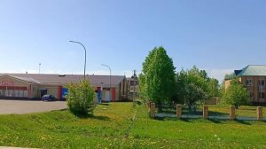 Совхоз Мамадышский / 2025