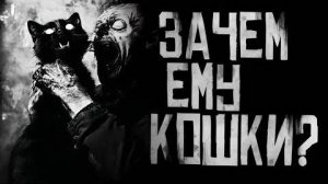 ЗАЧЕМ ЕМУ КОШКИ? Страшные истории на ночь.