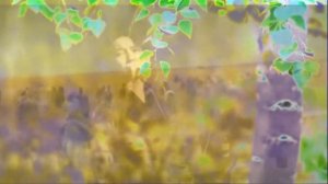 Я сделаю счастливым тебя... завтра! Creative