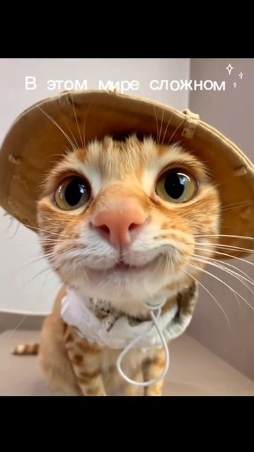 Не плачь радуйся умей грустить умей добиваться сам в жизни ведь она настолько прекрасна смотреть онлайн