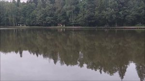 Утренний обзор с нижнего водоёма. Клёвое место, лосиный остров.