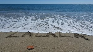 🌞 LaLaLa — лето, танцы и веселье! 🌴Цветы, солнце, пляж, бассейн… и море радости! ✨Слушай, танцуй!