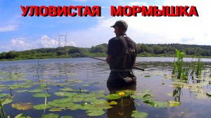ЖИРНАЯ ПЛОТВА на ЛЕТНЮЮ МОРМЫШКУ. Рыбалка на любимую снасть на Оке.