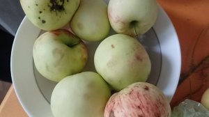 Субботние домашние дела.