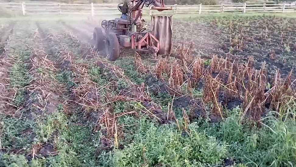 СМТ Скорпион в работе. Скашивание картофельной ботвы. смотреть онлайн