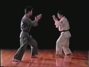 Хидэюки Асихара - Ашихара-карате (Часть 2)