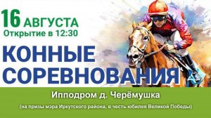 Конные соревнования - Ипподром д. Черёмушка (16. 8. 2025)
