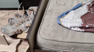 Музей Псов @ Моя Жизнь Кино