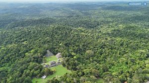 Экскурсии в Белизе - Город Караколь (Belize, The Caracol Mayan ruins)