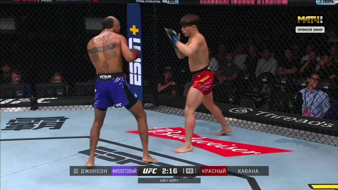 Лонэ Кавана против Чарльса Джонсона (видео). UFC Fight Night