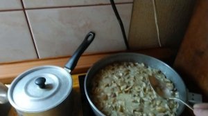 Первые маслята!