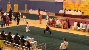 Гонконг Ушу итог(2)