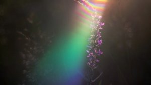 Фрагмент эфира с Ярославом о нынешних вибрациях пространства