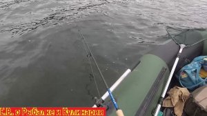 ВОТ ЭТО ОГРОМНОГО Я ПОЙМАЛ ЕЛЕ В ЛОДКУ ЗАТАЩИЛ.