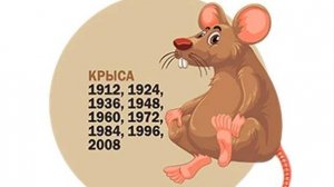 Мужчина Крыса