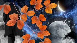 Горький вкус бузины