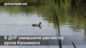 В ДНР завершили расчистку русла Кальмиуса