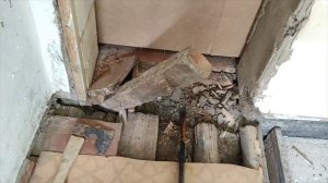 21 августа 2025 Наш парк