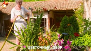 Цветы на участке и во дворе как красиво посадить фото идеи для вдохновения (9)