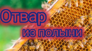Отвар из полыни