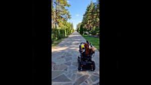 Ежедневник