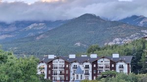 23-08-2025зацвела лагерстремия