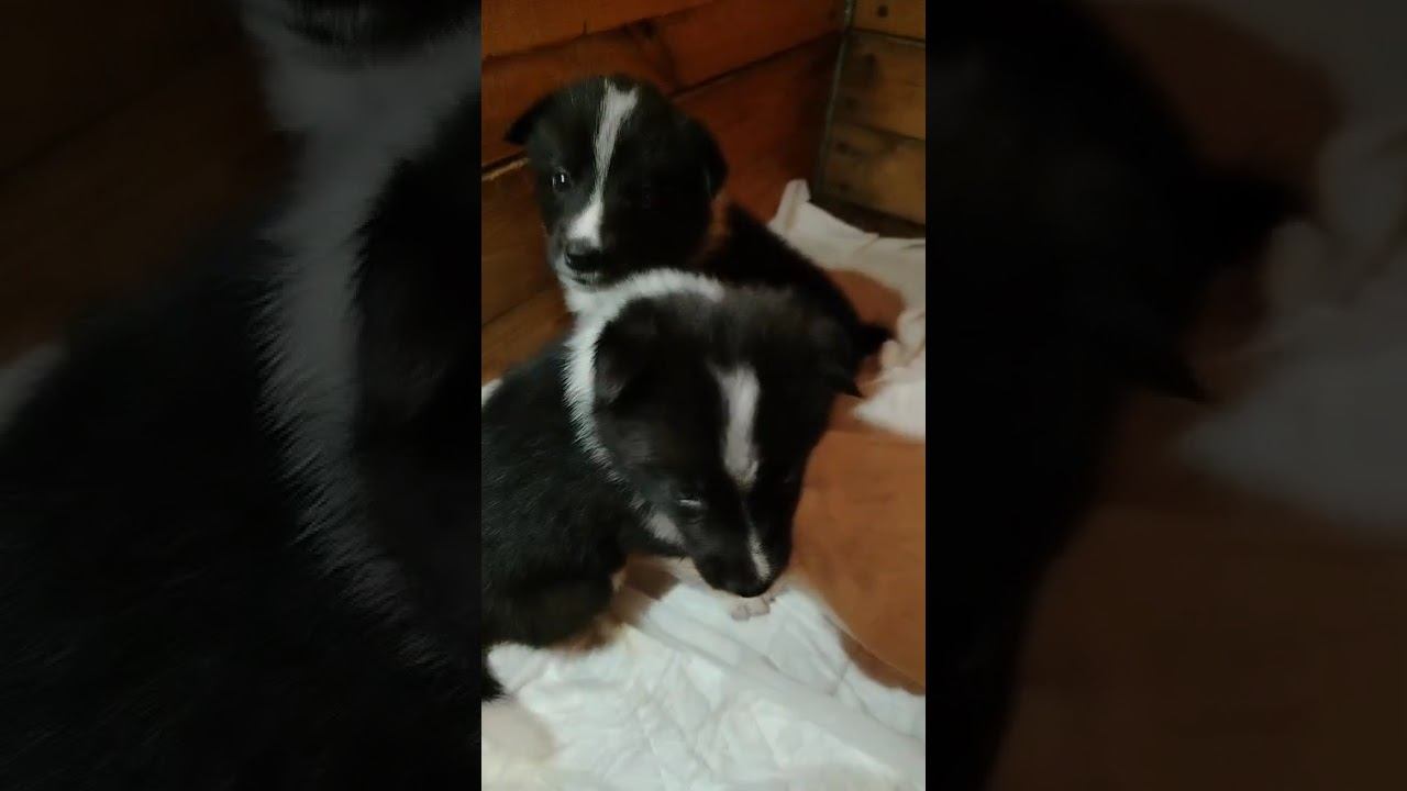 У нас прибавление смотреть онлайн