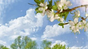 Обратно не вернуть