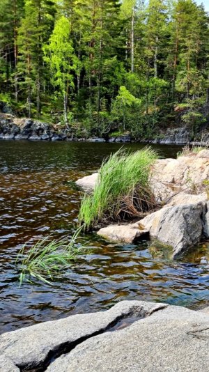 Женщина за рулем: Путешествие "Карелия- Заполярье"