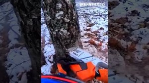 Экстремально опасные и быстрые машины для спиливания деревьев_ Экскаватор для удаления пней-монстров