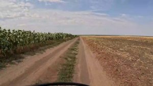 Покатушки Старая Бинарадка 23.08.2025