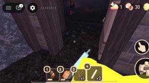 DOORS FLOOR 2 С СЕСТРОМИ