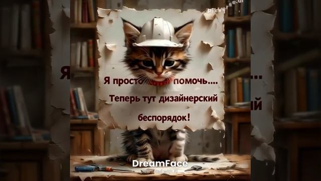 кот дизайнер смотреть онлайн