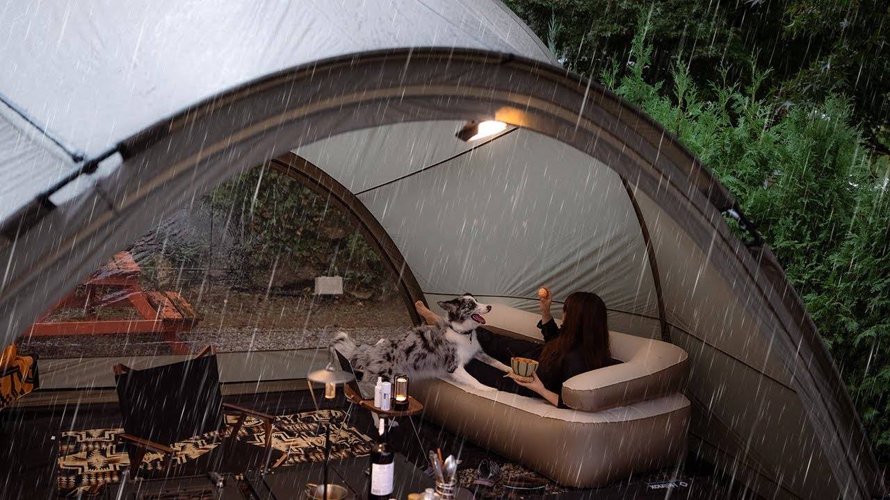 Гром и проливной дождь: уютный вечер в кемпинге с моей собакой | Rain ASMR смотреть онлайн
