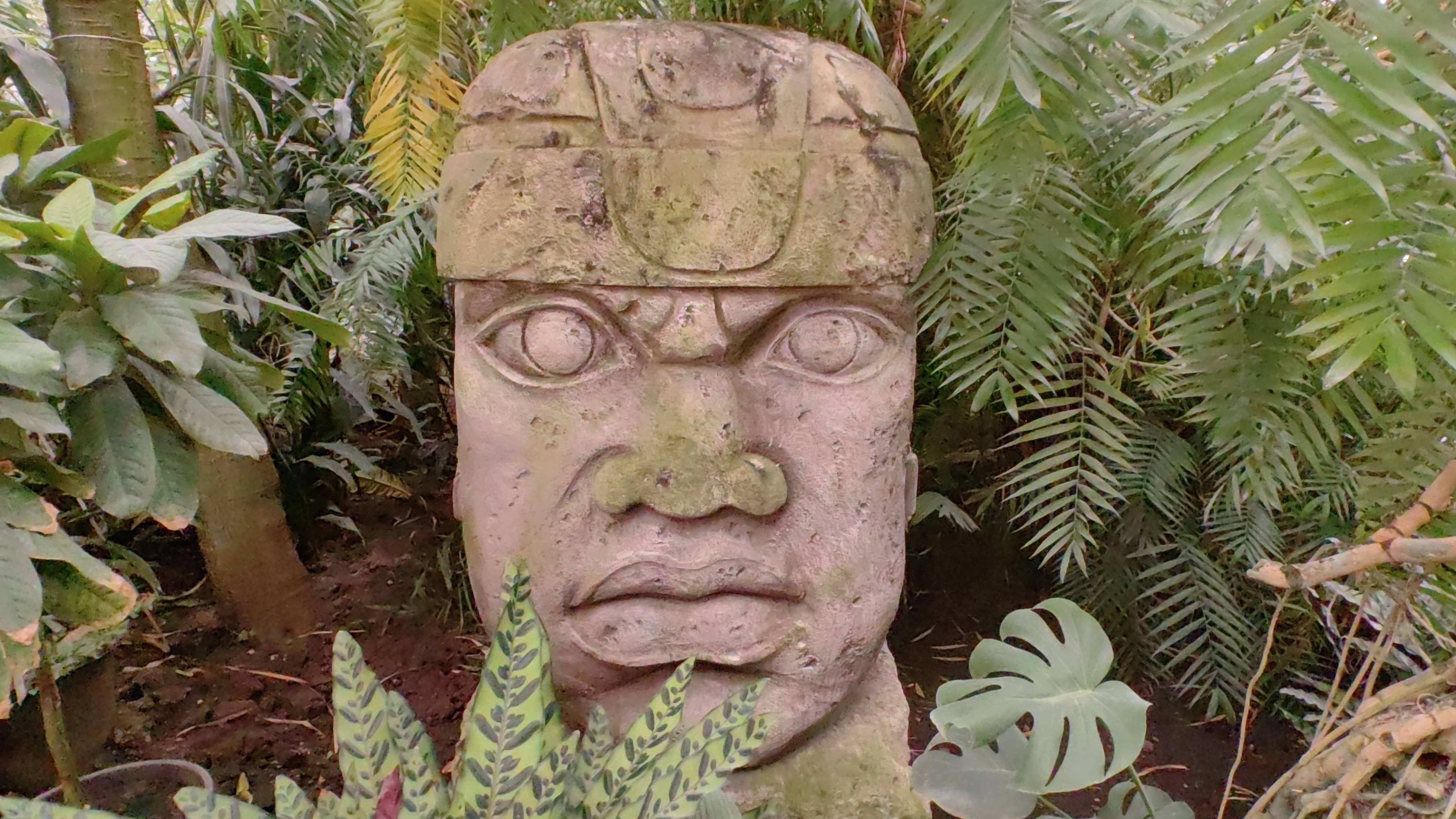 Как я посетил Ботанический сад МГУ «Аптекарский огород» (август 2025)