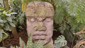 Как я посетил Ботанический сад МГУ «Аптекарский огород» (август 2025)