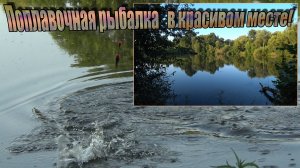 Рыбалка, на поплавочную удочку, в красивом месте! Хороший клёв, на поплавок, в августе!