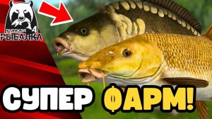 🤯 СУПЕР ФАРМ СЕРЕБРА Медное РР4! Раздача Трофов Ахтуба | Лучшие точки для фарма