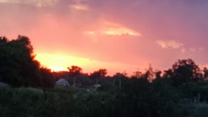 ВЕРХ-СУЕТКА - СЕЛО В АЛТАЙСКОМ КРАЕ. МИРА И ДОБРА! 🙏🌞