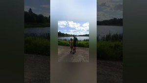 про деревню Гостилицы