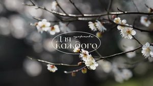 Субботнее богослужение -23.08.2025