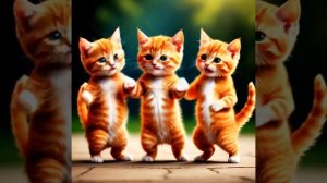 Котики танцуют